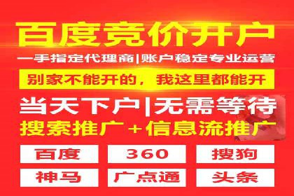 成功运用SEM服务实现品牌快速成长的案例